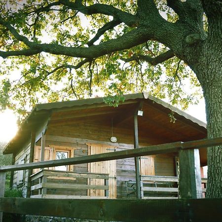 Agriturismo Kikajon Linguaglossa Ngoại thất bức ảnh