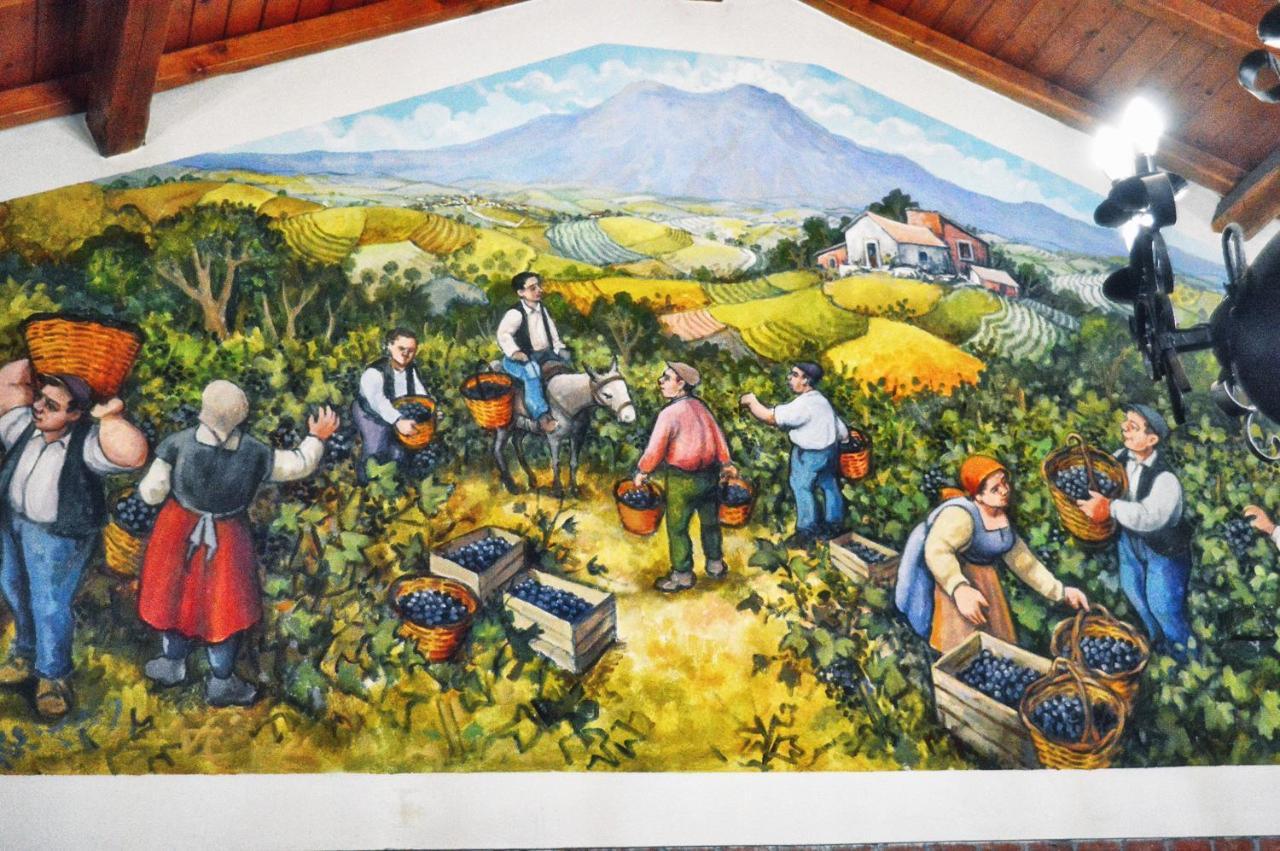 Agriturismo Kikajon Linguaglossa Ngoại thất bức ảnh