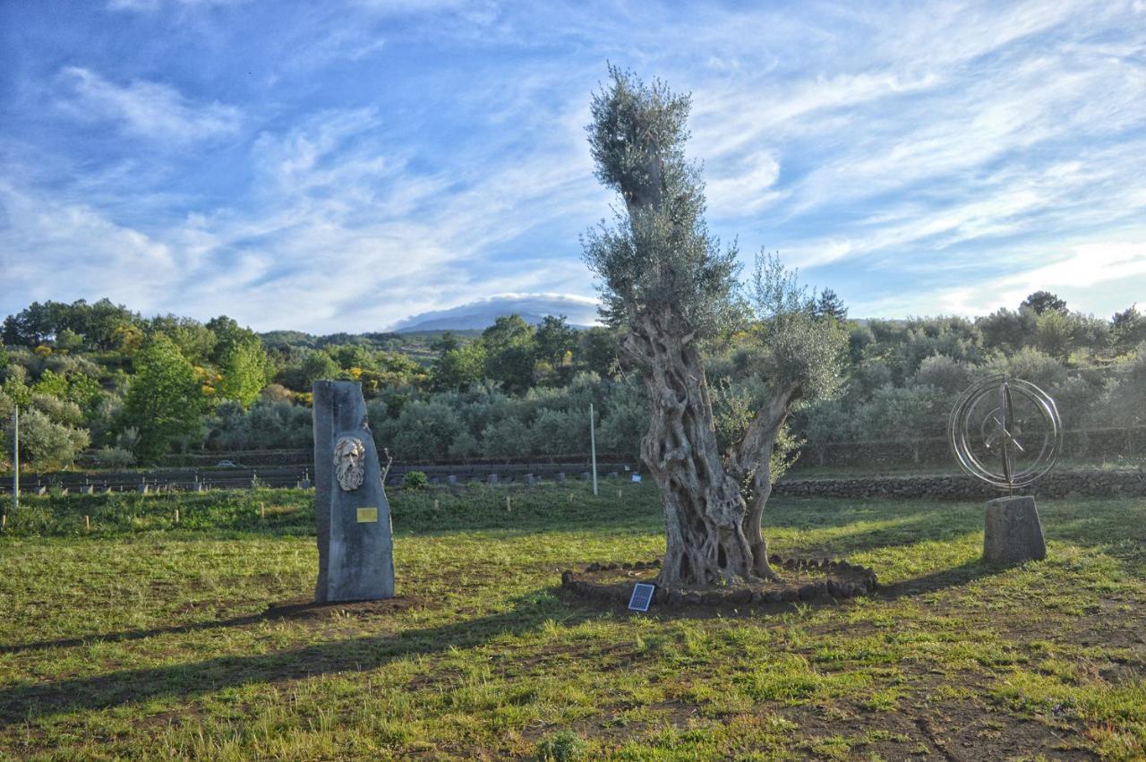Agriturismo Kikajon Linguaglossa Ngoại thất bức ảnh