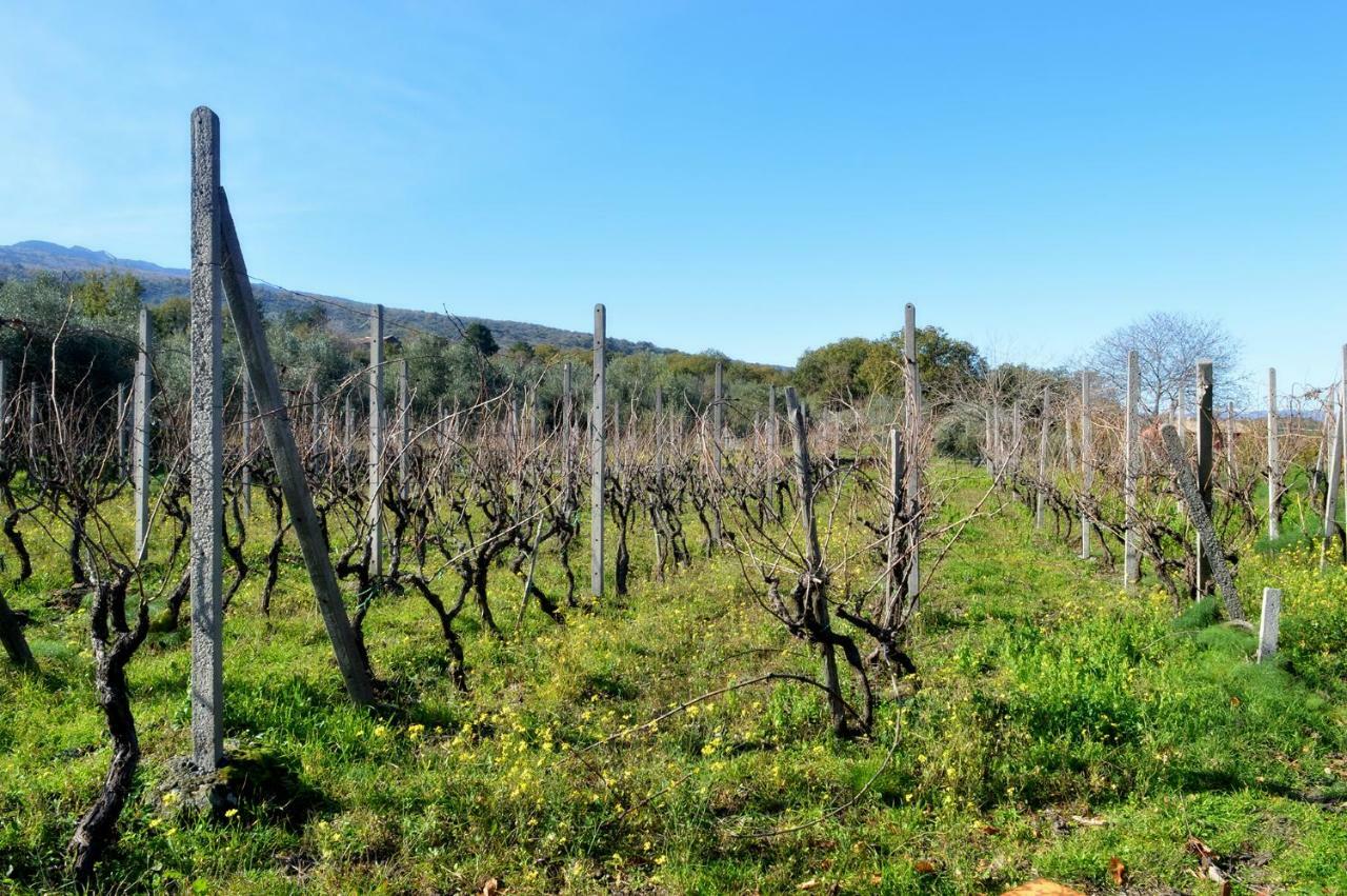 Agriturismo Kikajon Linguaglossa Ngoại thất bức ảnh