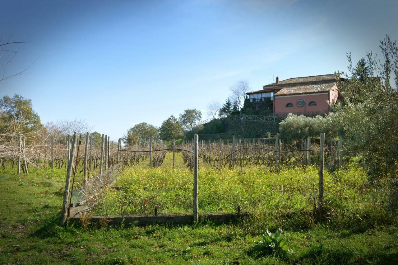 Agriturismo Kikajon Linguaglossa Ngoại thất bức ảnh